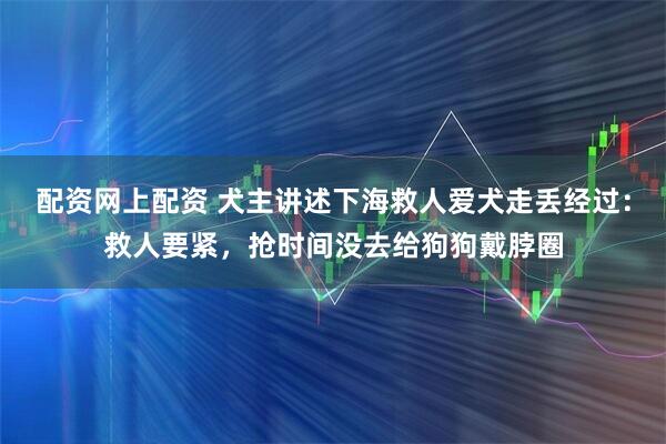 配资网上配资 犬主讲述下海救人爱犬走丢经过：救人要紧，抢时间没去给狗狗戴脖圈